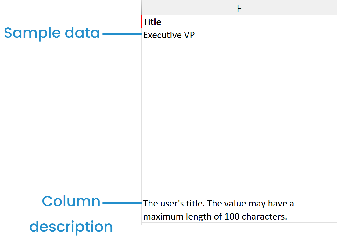 Template - Column Sample Data and Description Annotated 20250903.png