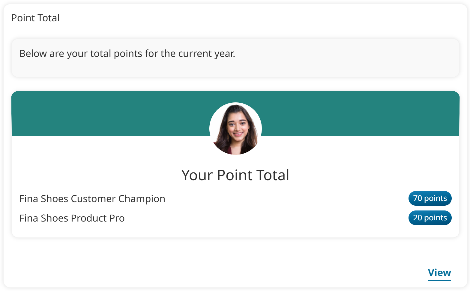Widget - Point Total Example 20260407.png