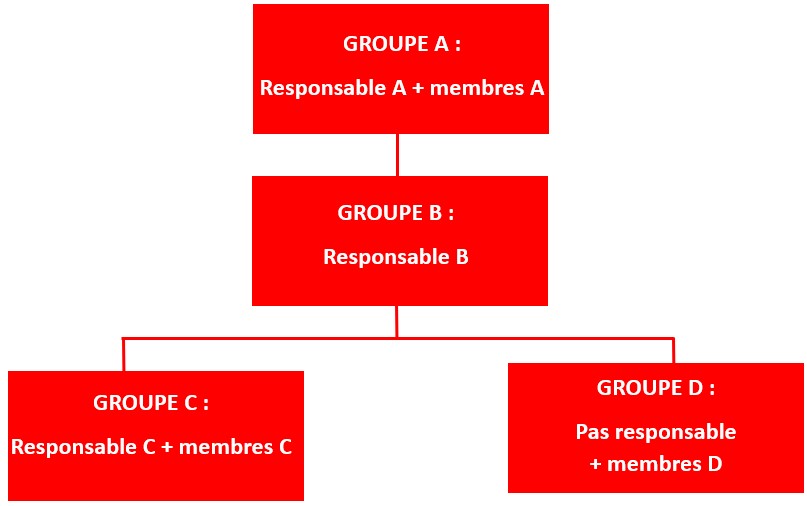 Groupe de collaborateurs.jpg