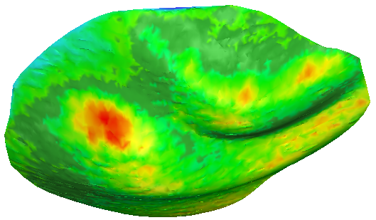 SectionOnInspectedMesh_ColorMeasure.png
