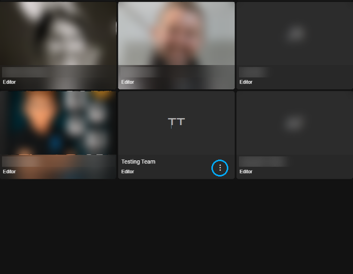 Project member tile with the 3-dot menu highlighted