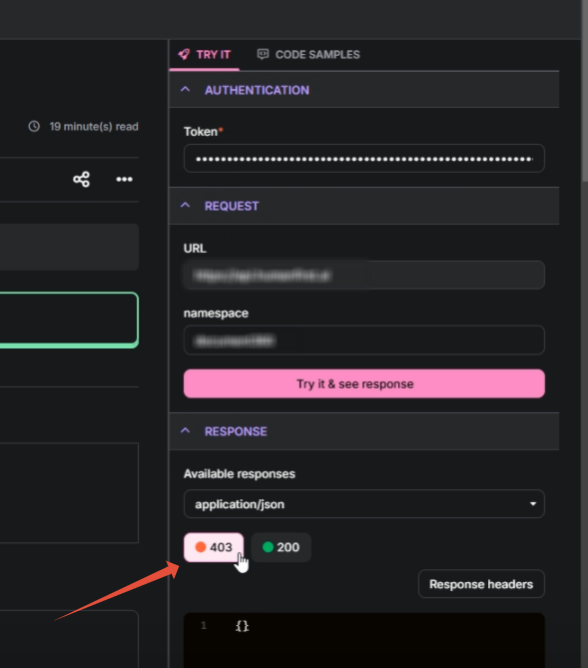 API request interface showing authentication, request, and response sections with status codes.
