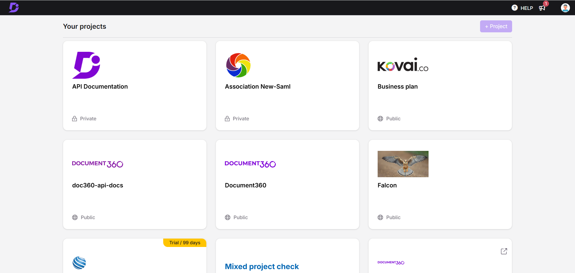 Overview of various projects including API documentation and business plans.