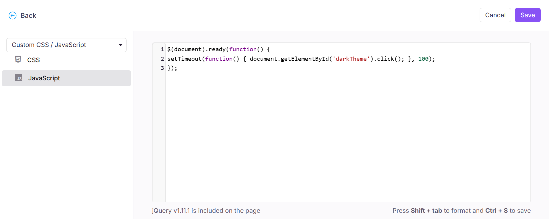 JavaScript code snippet demonstrating a function to trigger dark theme on page load.