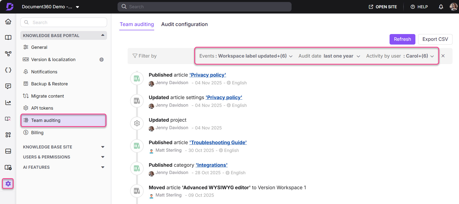 Team auditing section showing recent activities and filters for workspace updates.