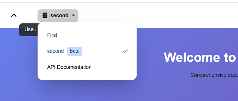 Workspace dropdown with custom item