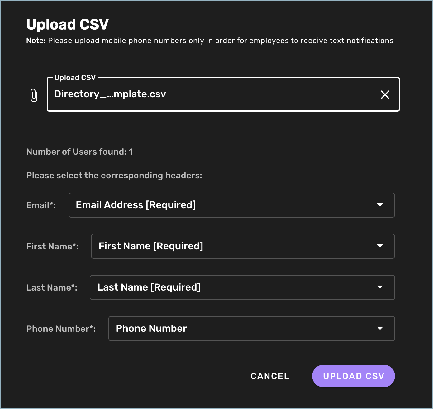 Upload CSV window - settings