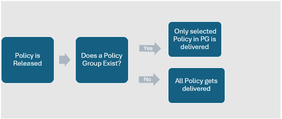 A diagram of a policy  Description automatically generated