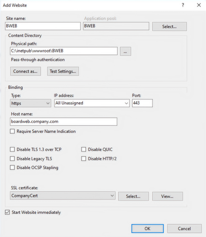 Configuration settings for adding a new website in IIS, including binding options.