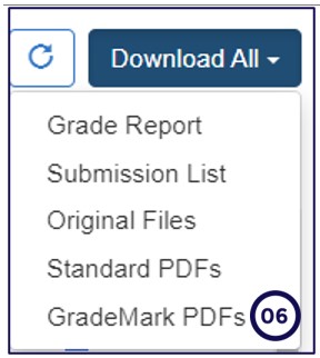 download graded turnitin assignments