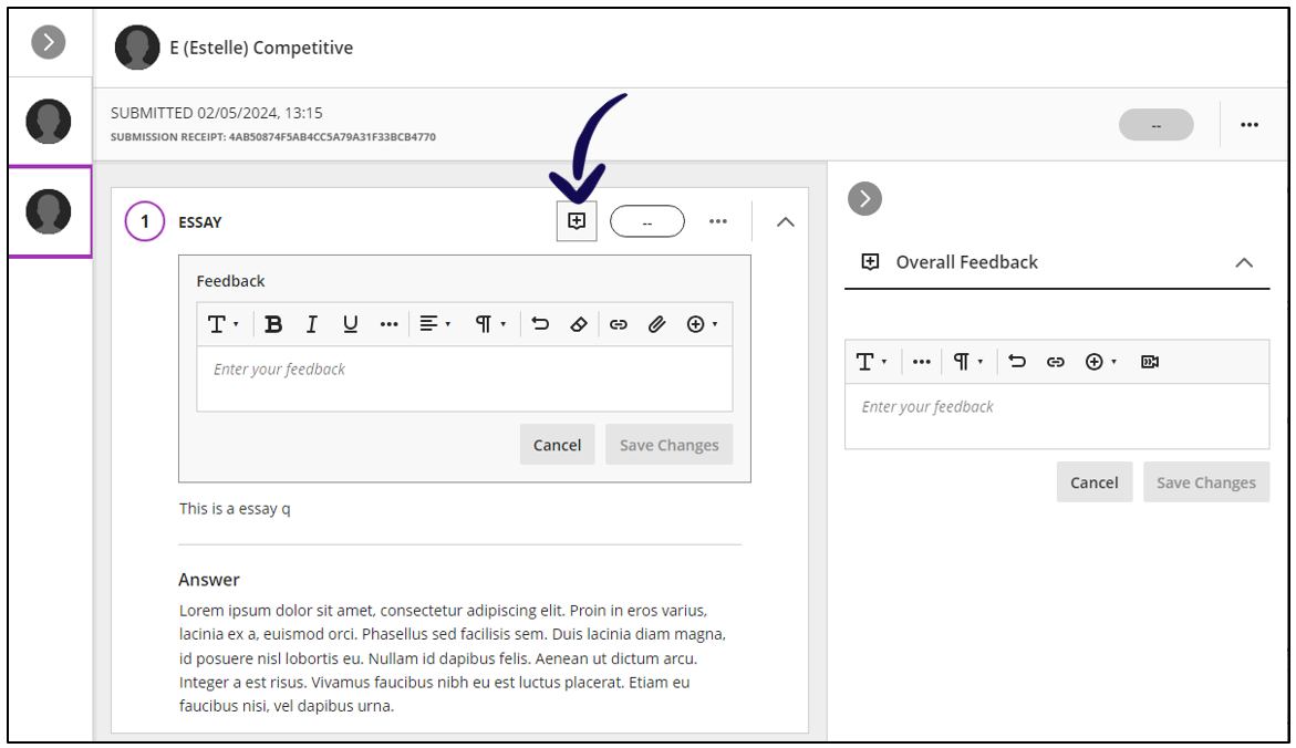 essay_grading_feedback