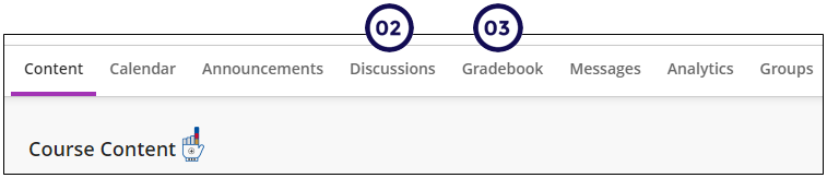 Menu items displaying: use the options Discussions and Gradebook to access the Gradable Discussion