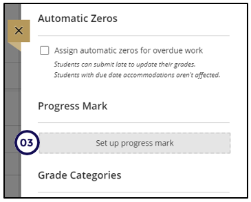 progress%20mark%20instructor2