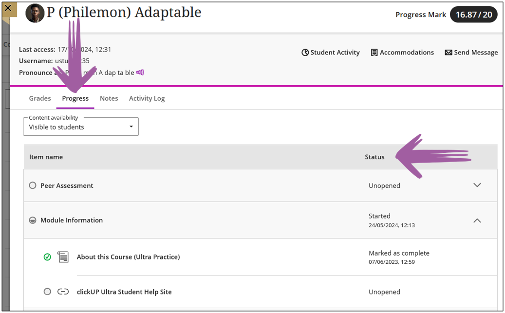 Screen cap showing the Gradebook, Student tab, Select student, Progress tab.