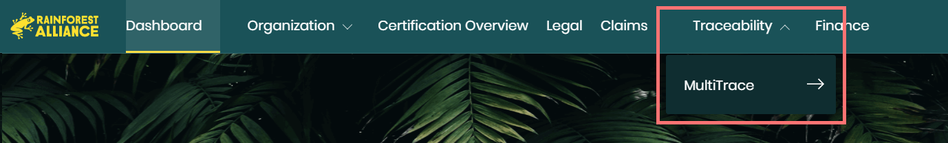 A close up of a leaf Description automatically generated