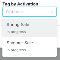 An image of the Tag by Activation option for emails.