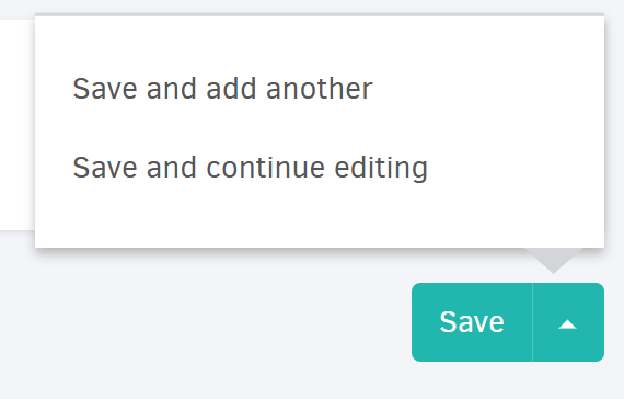 Save options in a project