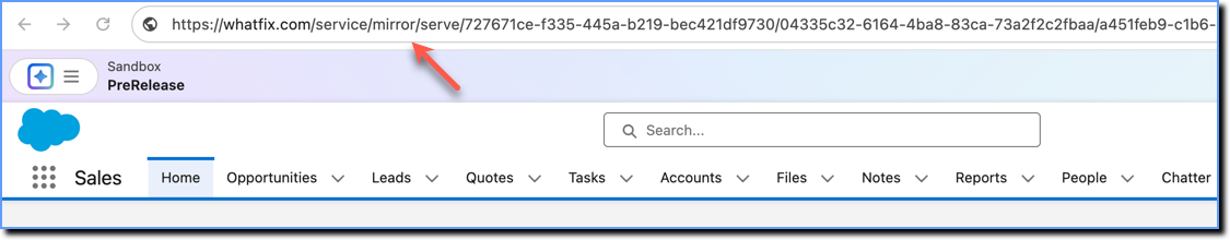 Db_Mirror_Address_Bar.png