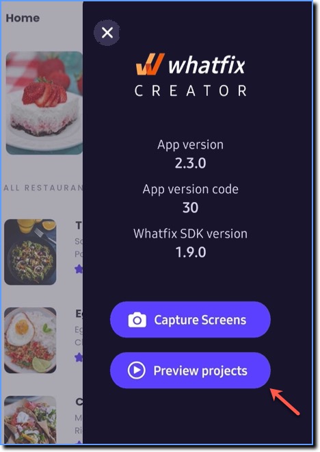 mobile creator preview projects.jpg