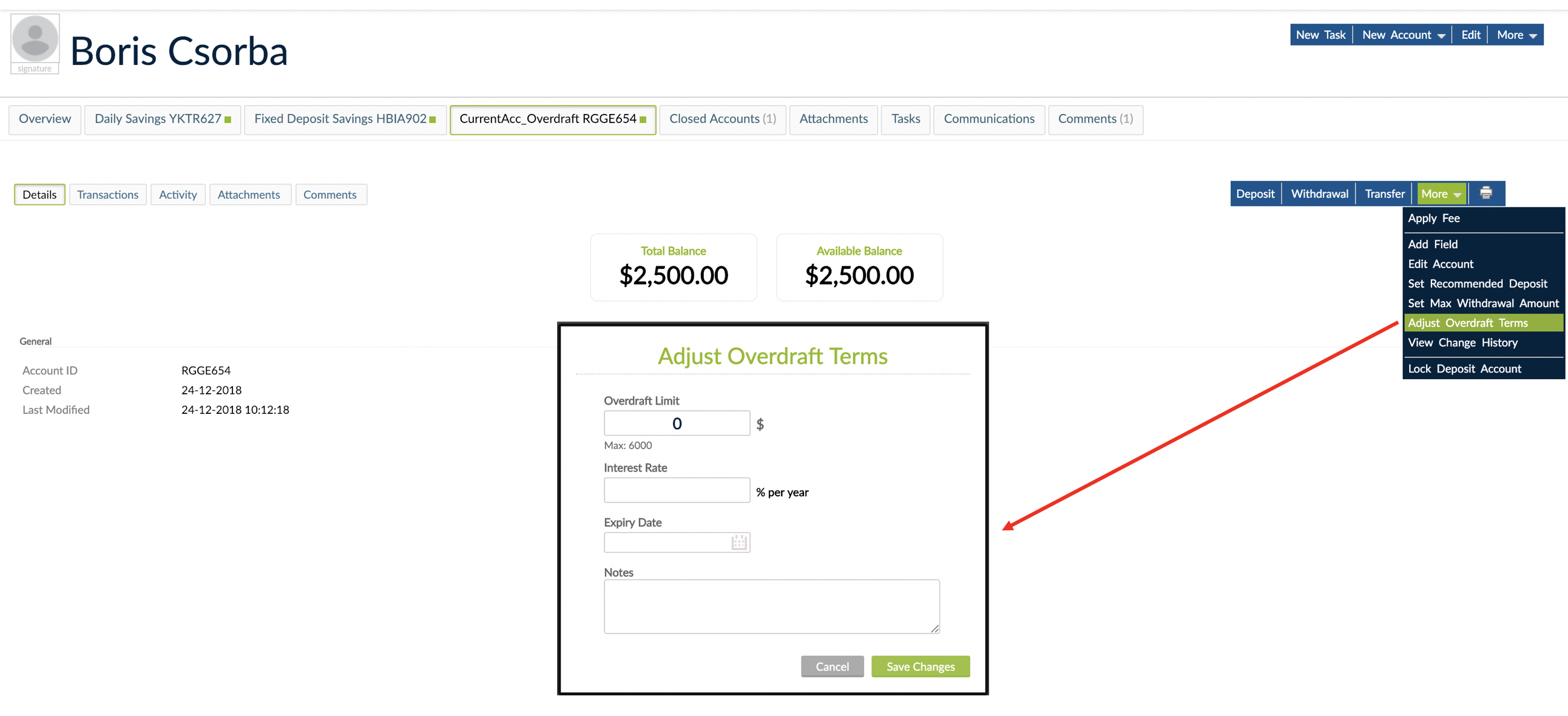 "Adjust Overdraft Terms" screen with Overdraft Limit, Interest Rate (% per year),  Expiry Date, and Notes fields with two buttons below: Cancel and Save Changes
