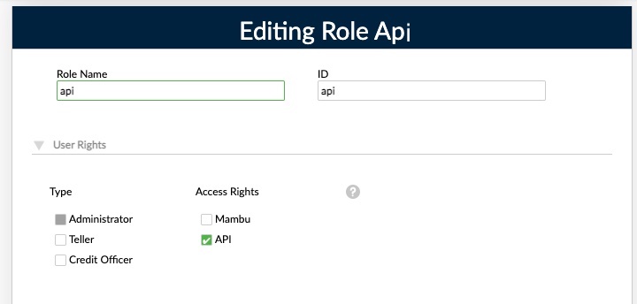 Editing Role dialog with only API access right checkbox selected.jpg