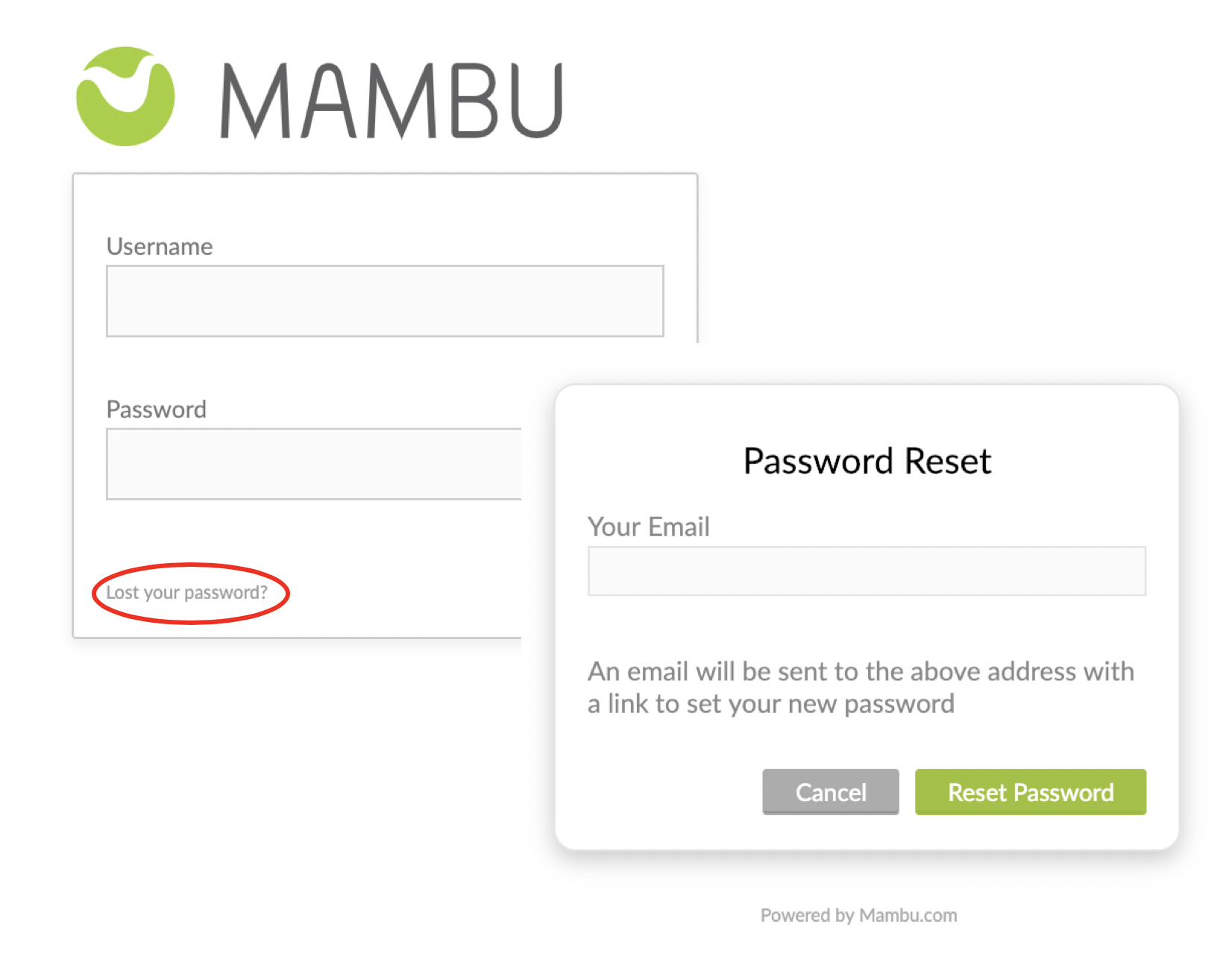Reset your password screen. An email will be sent to the provided email address . with a link to set the new password.