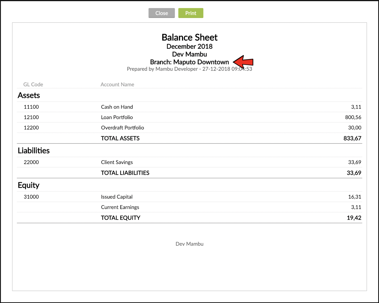 Branch Level Account Reports with information like name of report, period, branch and many more.