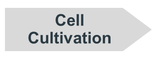 chevron that reads Cell Cultivation