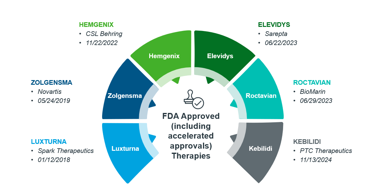 A circular infographic showing FDA-approved AAV gene therapies. These include: 1.	Hemgenix - CSL Behring, 11/22/2022 2.	Zolgensma - Novartis, 05/24/2019 3.	Luxturna - Spark Therapeutics, 12/19/2017 4.	Roctavian - BioMarin, 06/29/2023 5.	Elevidys - Sarepta, 06/22/2023 6.	Kebilidi – PTC Therapeutics, 11/13/2024