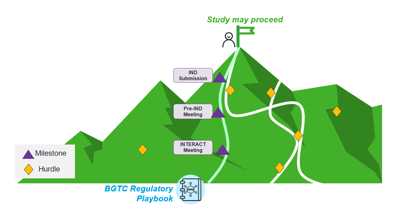 Mountain path showing regulatory milestones and hurdles