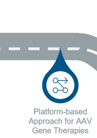 The first of 6 images in a roadmap depiction of the playbook outline reading “Platform-based approach for AAV Gene Therapies”