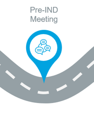 The fourth of 6 images in a roadmap depiction of the playbook outline reading “Pre-IND meeting”