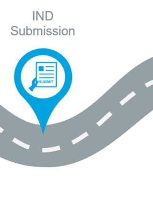 The last of 6 images in a roadmap depiction of the playbook outline reading “IND Submission”