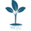 A blue plant with leaves Description automatically generated
