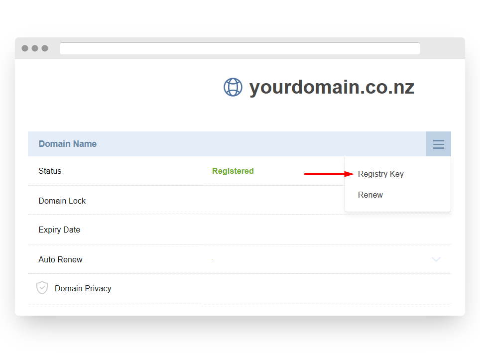 Screenshot of Freeparking Dashboard Registry Key Button