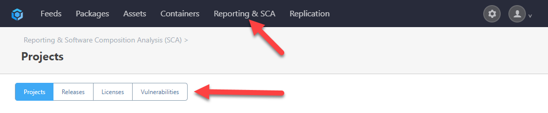 Reporting & SCA > Vulnerabilities