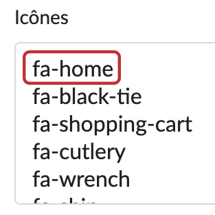 Remplissez le champ « Icônes » avec les codes des icônes souhaitées.