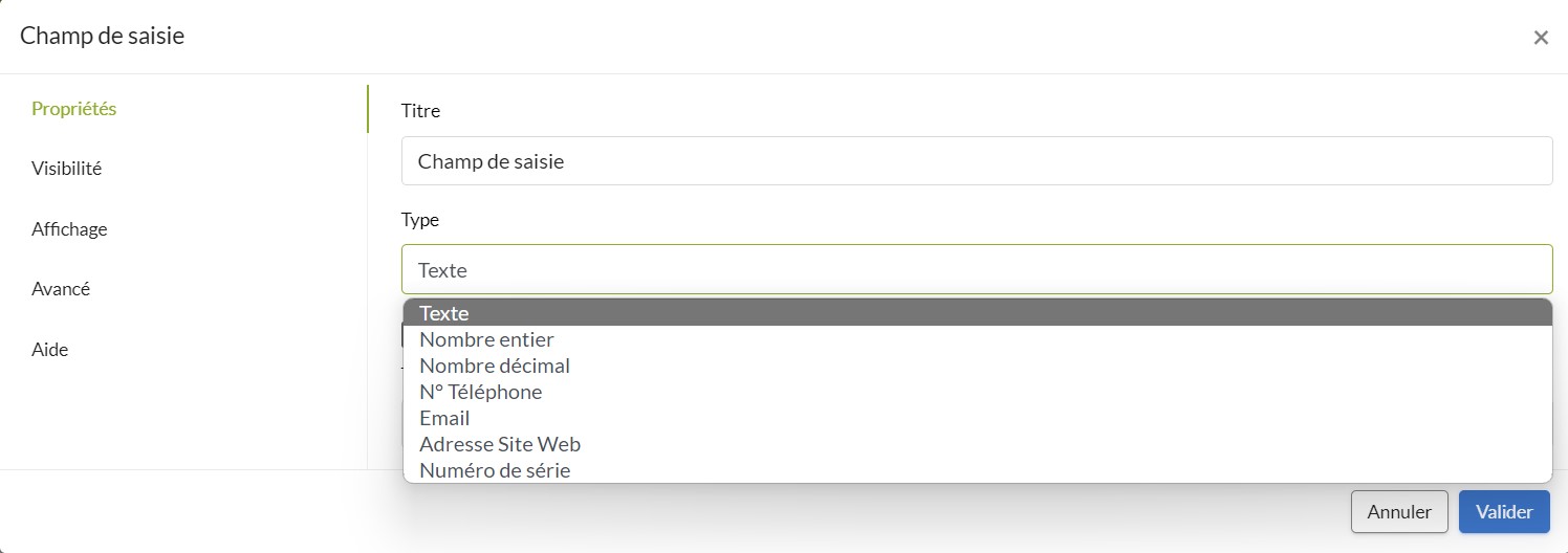 onglet-proprietes-champ-de-saisie