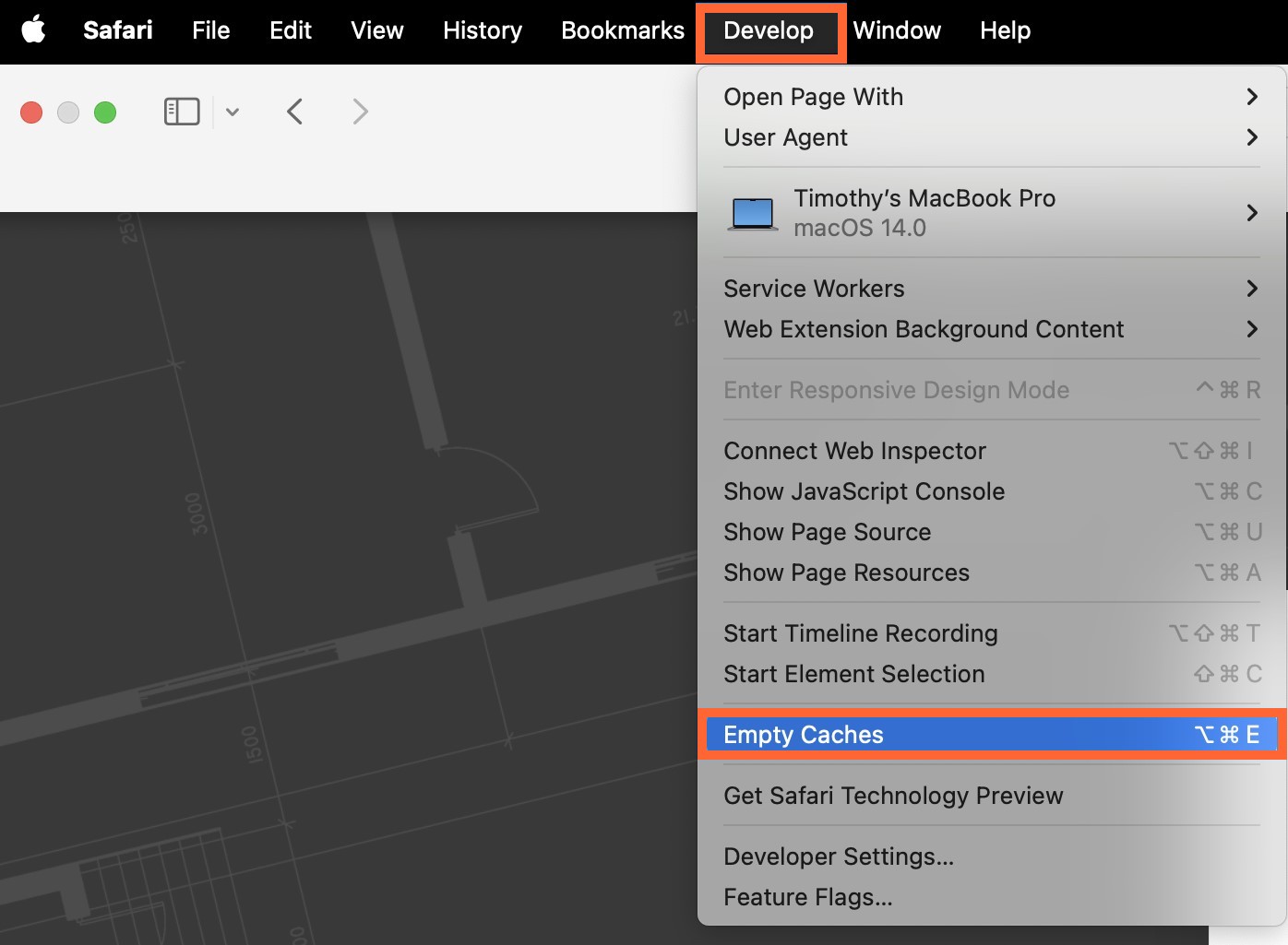 safari empty caches(1)