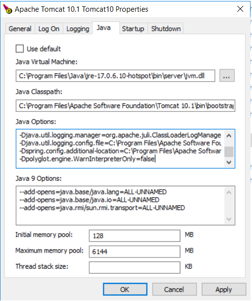 tomcat 10 java options.png