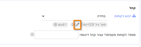 Edit Audience -hebrew.png