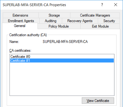 6. view new ca cert.png