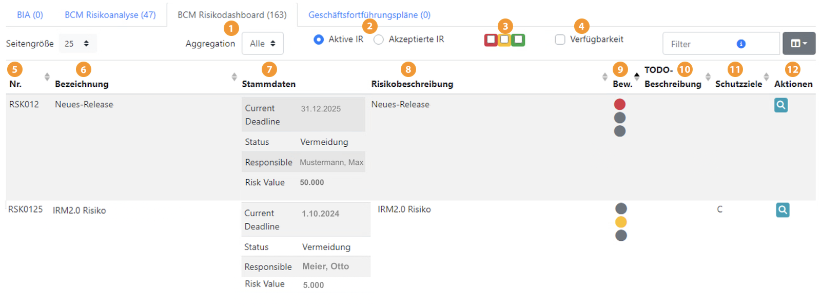 Risiko-Dashboard