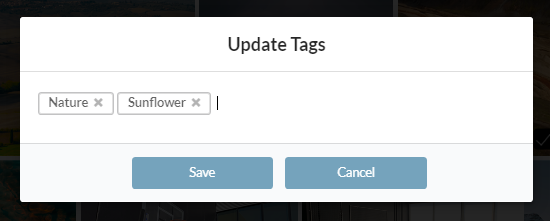 update-existing image tag.PNG