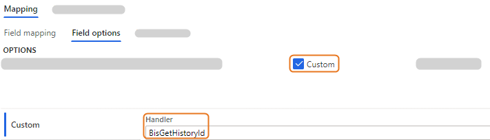 Mapping options for custom field settings in a user interface display.