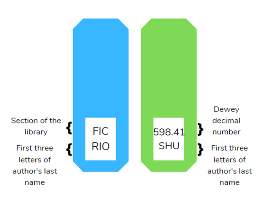 DDC and Spine Labels