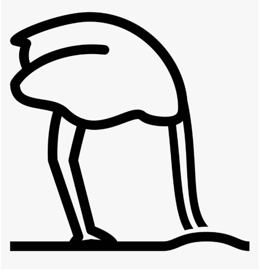 image-1782324065672.png