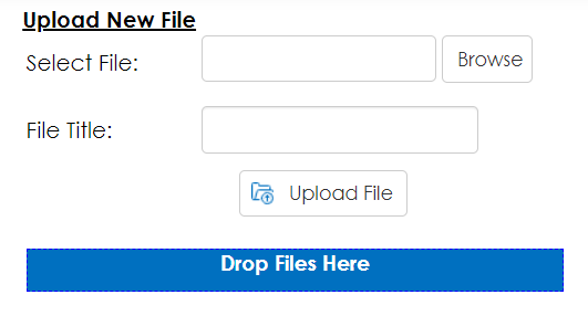 The Upload New File box