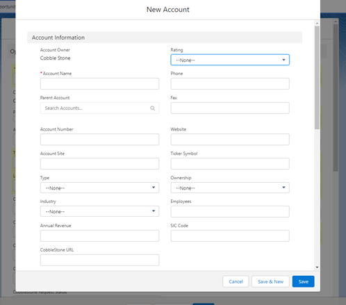 Salesforce New Account Panel