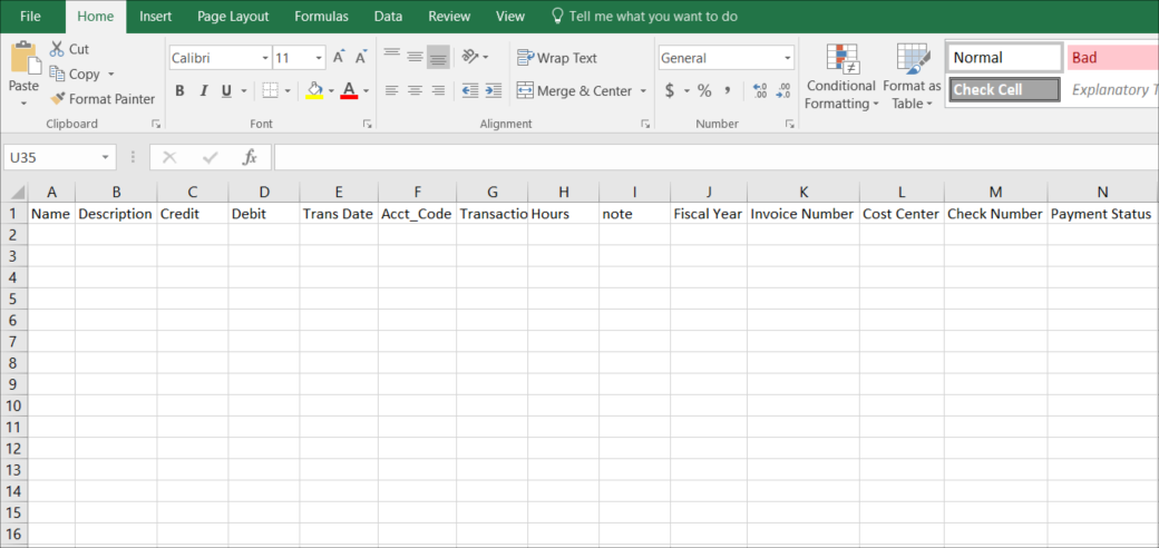 Template opens in Excel